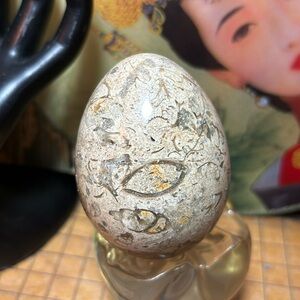 Fossilized Gastropod Marble Egg 8.1oz Polished Carved Beige Stone